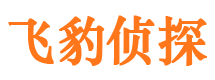 日喀则外遇出轨调查取证